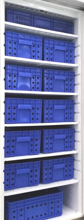 Armario Congelados GN2/1 con 12 Cajones Lacado Blanco 600 litros de 775x750x1850h mm  DF600-C